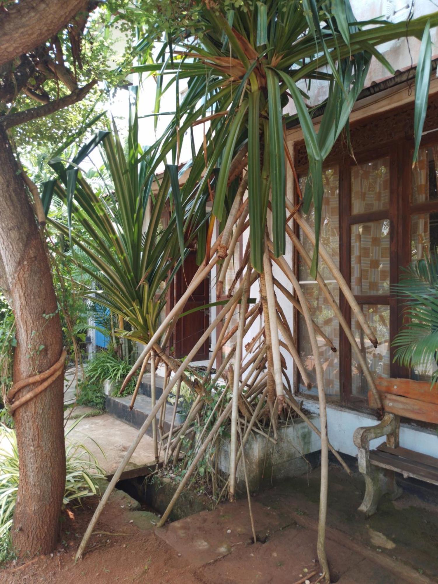 Station touristique Lucky Anurâdhapura