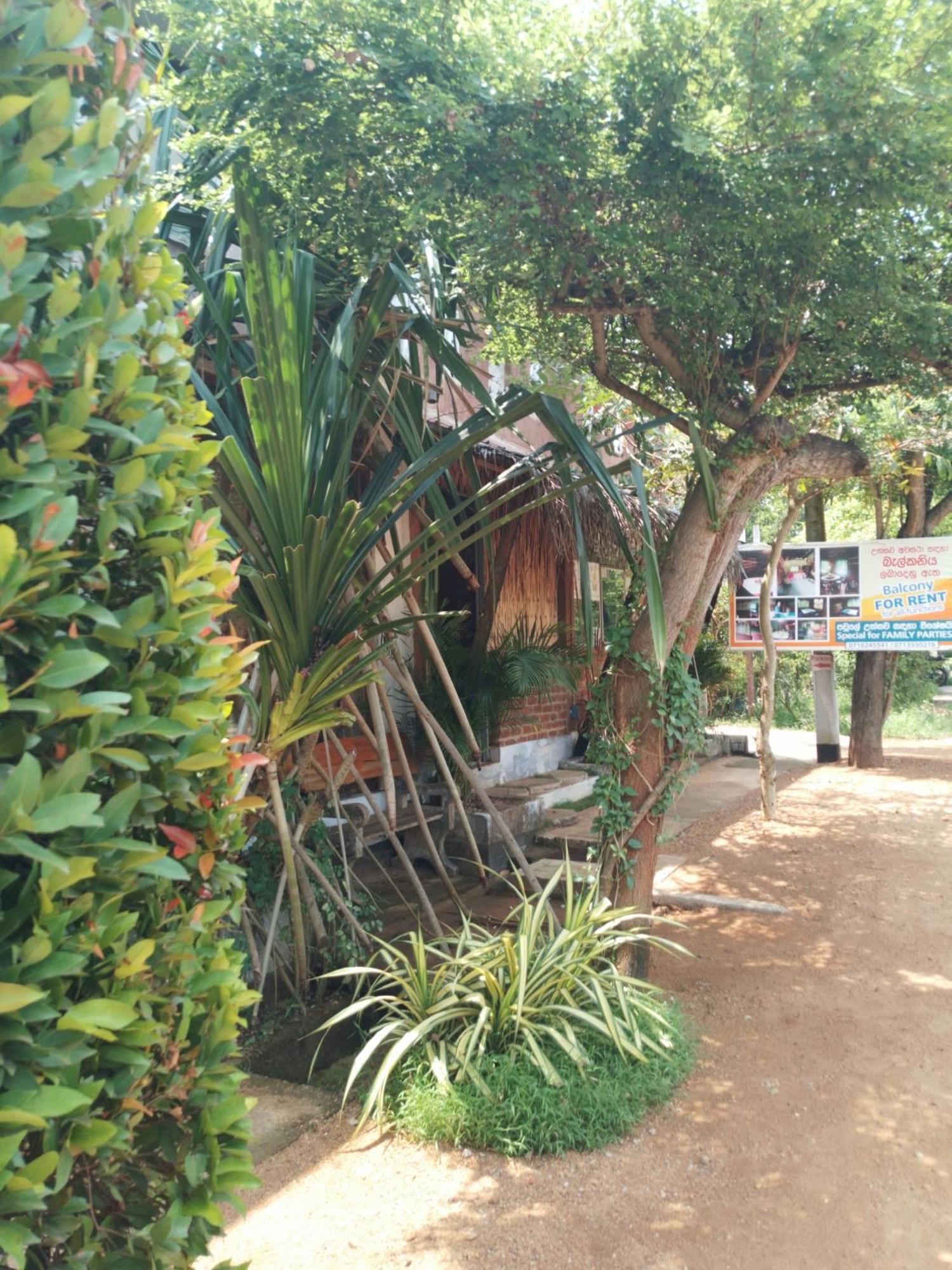 Lucky * Anurâdhapura