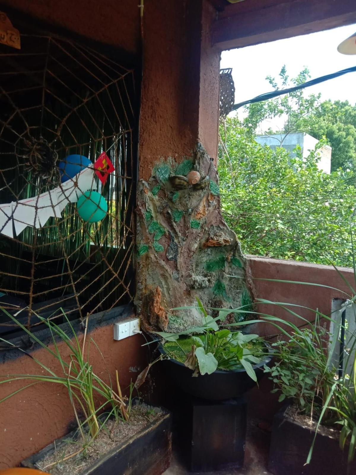 Lucky Anurâdhapura